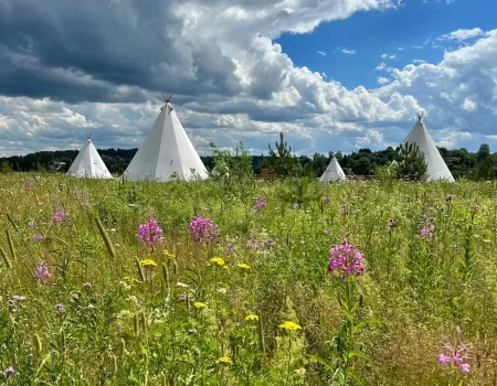 Глэмпинг Рузская Аляска