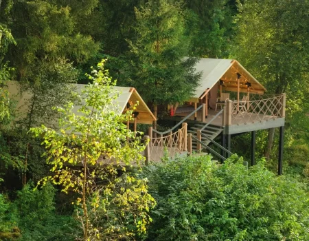 Глэмпинг Под небом